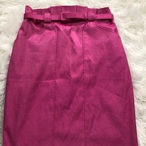 Elegant Pink Belted Skirt